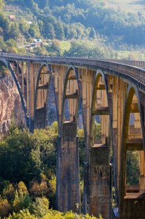 Tara Bridge