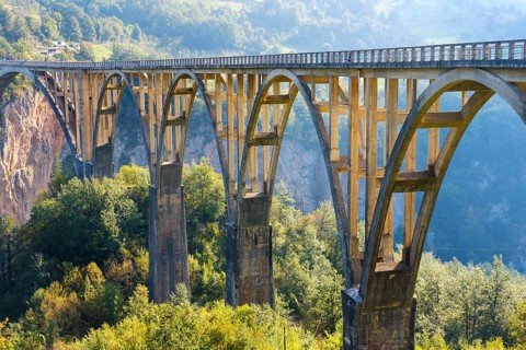 Tara Bridge
