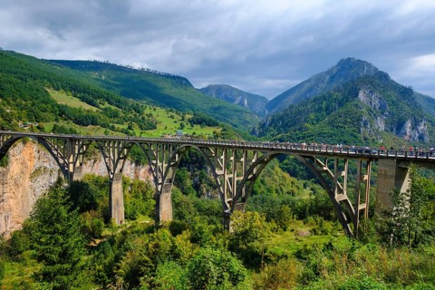 Tara Bridge
