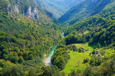River Tara