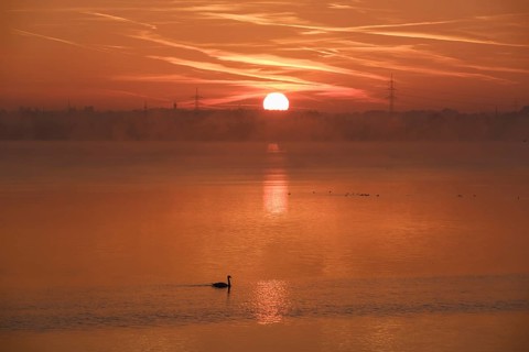 Sunrise