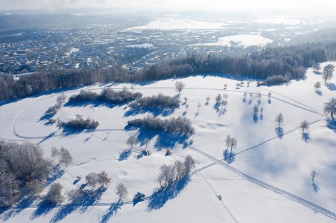 Winter landscape
