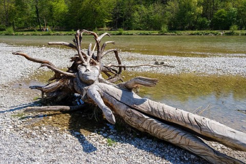 Artfully carved figure from a tree trunk on the river bank