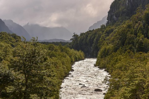 Rio Exploradores flows through rainforest at Puerto Rio Tranquilo