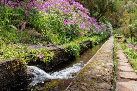 Levada in the Rabacal Valley near Calheta