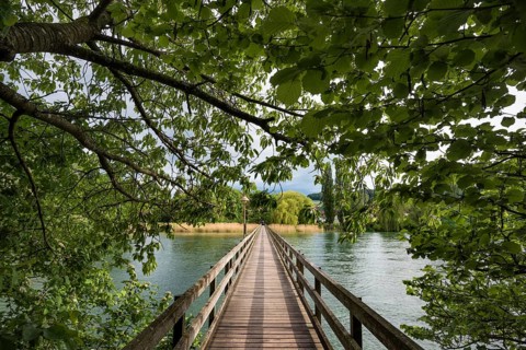 Wooden bridge from Werd Island across Rhein to Eschenz