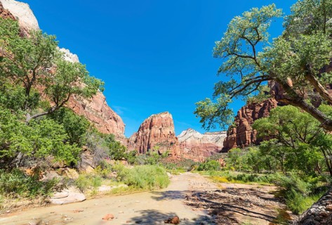View of rock formation Angels Landing