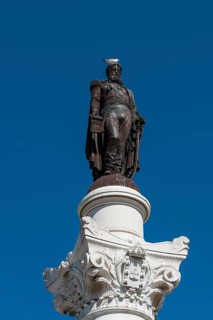 Monument Dom Pedro IV. with pigeon on his head