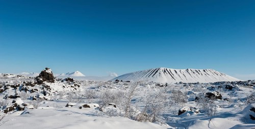 Snowy landscape