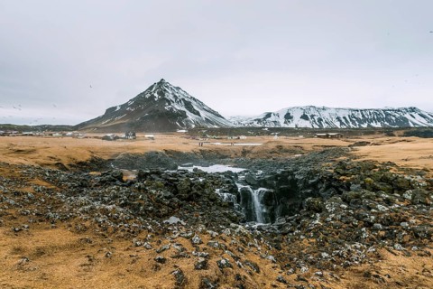 Water coming out of blowhole