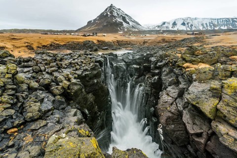 Water coming out of blowhole