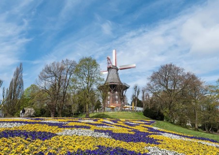 Colorful flowerbeds with windmill and ramparts
