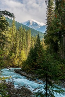 Robson River