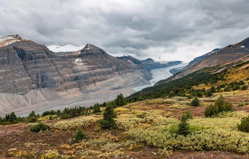 View in valley with glacier tongue