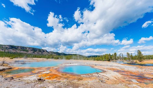 Black Opal Pool
