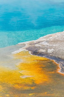 Yellow bacteria and algae on the edge of a hot spring