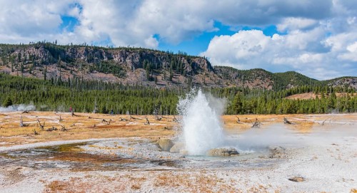 Outbreak of Jewel Geyser