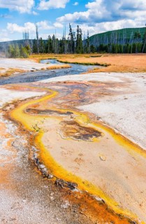Colorful soil