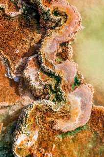 Detail photo