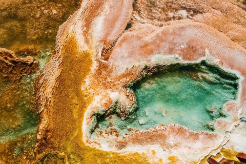 Detail photo