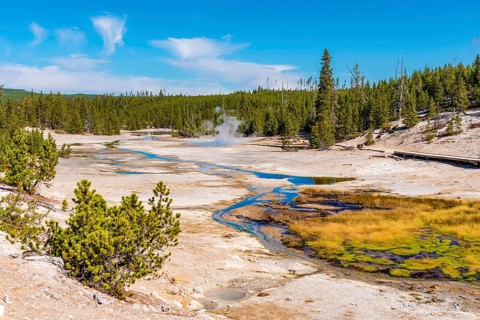 River in the Norris Back Basin