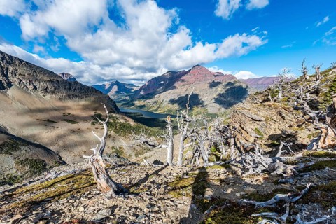 View from Continental Divide Trail onto Mountain Lake Two Medicine Lake with mountain landscape