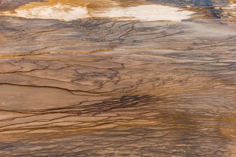 Wave structure