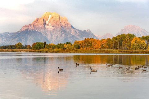Mount Moran reflected in Snake River