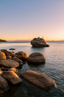 Bonsai Rock