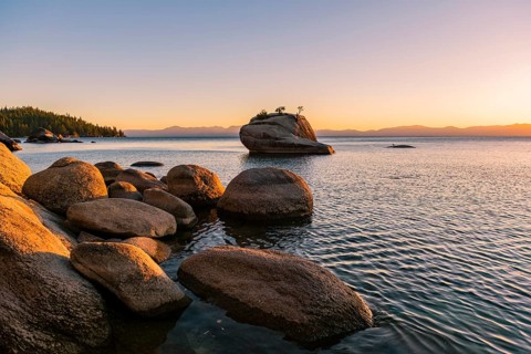 Bonsai Rock