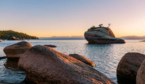 Bonsai Rock