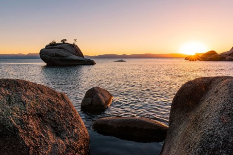 Bonsai Rock