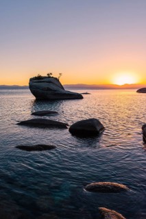 Bonsai Rock