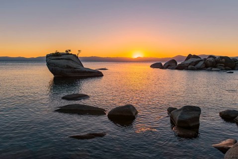 Bonsai Rock