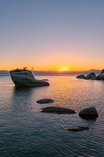 Bonsai Rock