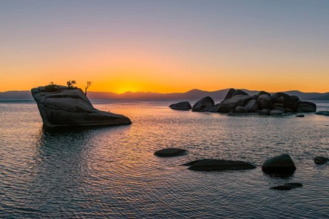 Bonsai Rock
