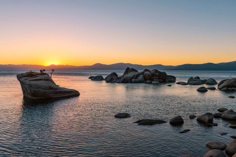 Bonsai Rock