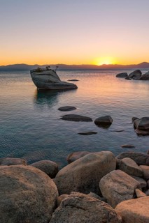 Bonsai Rock