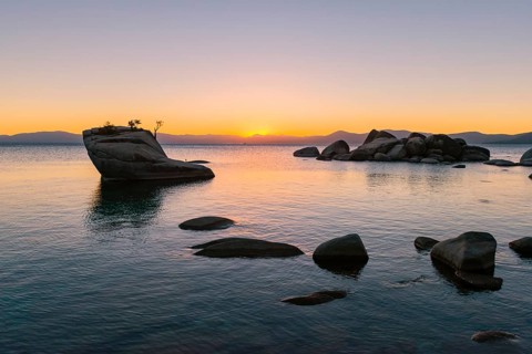 Bonsai Rock