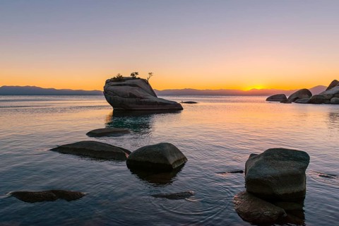 Bonsai Rock