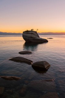 Bonsai Rock