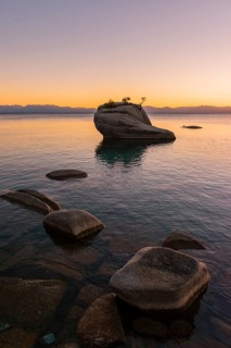 Bonsai Rock