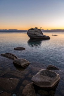Bonsai Rock