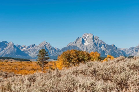Autumn landscape