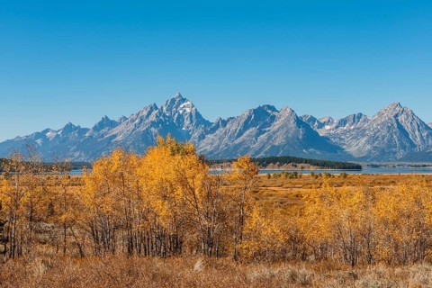 Autumn landscape