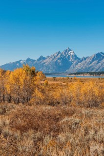 Autumn landscape