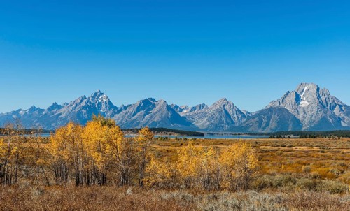 Autumn landscape
