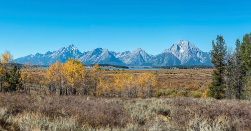 Autumn landscape