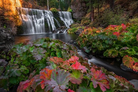 Middle Falls