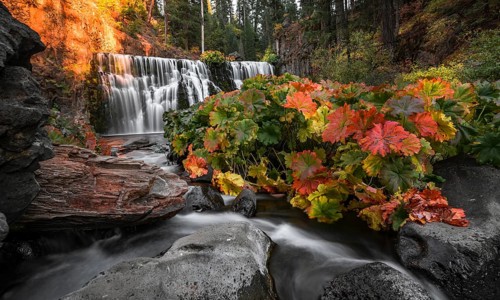 Middle Falls